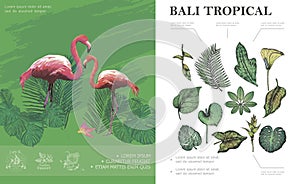 Sketch Tropical Bali Concept