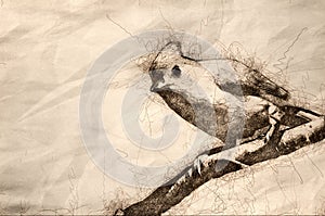 Sketch of a Tufted Titmouse Perched on a Branch