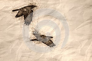 Sketch of Two Common Black Ravens Flying Over the Canyon Floor