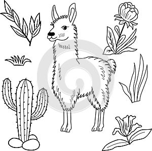 Sketch of vector llama, flowers, grass, and leaves. Illustration of an alpaca on the lawn for a children\'s coloring book