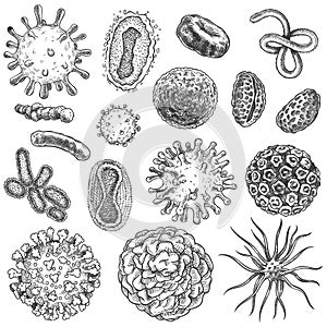 Sketch virus. Bacteria, coronavirus germ biology micro organic elements. Covid-19 viruses, cancer cells hand drawn