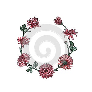 Sketch Watercolor Floral Botany wreath. Chrysanthemum flower drawings on white backgrounds. Hand Drawn