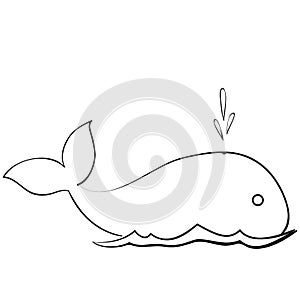 Sketch whale releases water, coloring book, caricature, isolated object on white background, vector