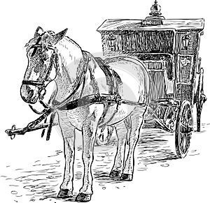 Sketch of a white horse harnessed to a vintage carriage