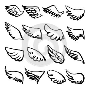 Sketch wings. Hand drawn wing angel or bird, drawing celtic doodle logo. Dove eagle winged elements, simple grunge