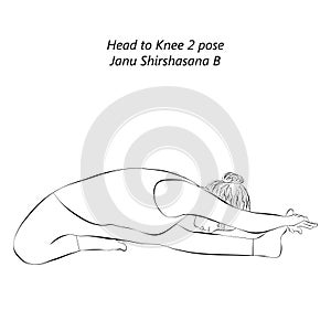 Sketch of yoga pose Janu Shirshasana B.