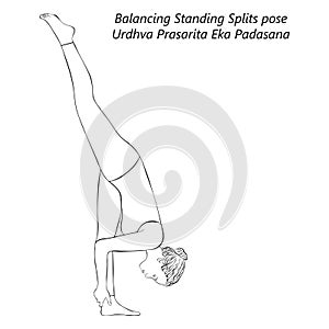 Sketch of yoga pose Urdhva Prasarita Eka Padasana photo