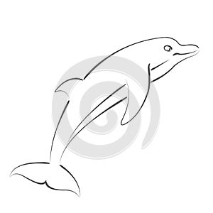 Sketched dolphin.