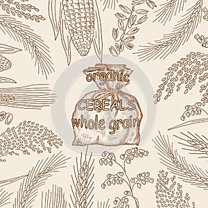 Sketched hand drawn cereals, flour in burlap sack.