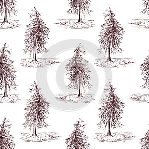 Sketched spruce pine tree sepia seamless pattern background