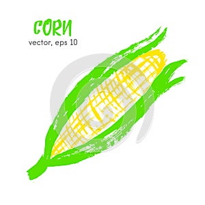 Sketched vegetable illustration of corn.