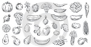 Sketched vegetables and fruits. Hand drawn organic food, engraving vegetable and fruit sketch vector illustration set photo