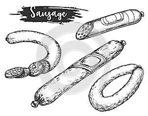 Sketches of polish sausage or kielbasa vector photo