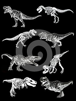 Graphical set of dinosaurs isolated on black background,vector illustration photo