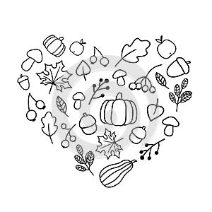 Sketchy vector hand drawn leaves, pumpkin, acorn. Doodle set of objects and symbols on the autumn theme in the shape of