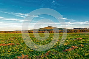 Skewed meadow against the backdrop of autumn forest.