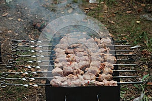 Skewered chunks of meat cooking on a barbecue grill with smoke rising, set against a natural outdoor background