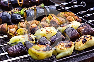 Skewered vegetables green zucchini courgettes cucumber peppers preparing barbecue grill charcoal Grilled roasted fried slices cove