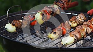 Skewers on grill