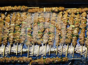 Skewers with Meat and Leeks