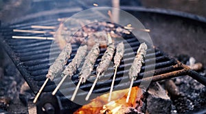 Skewers of meat sticks grilling