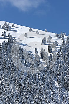 The ski center of Kalavryta, Greece.