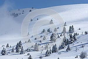 The ski center of Kalavryta, Greece.