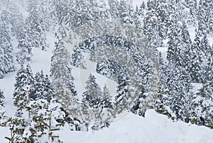 The ski center of Kalavryta, Greece.