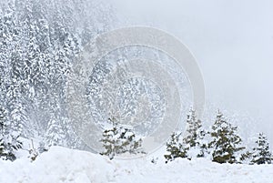 The ski center of Kalavryta, Greece.