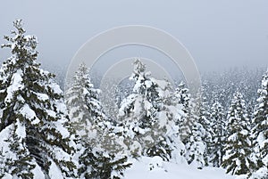 The ski center of Kalavryta, Greece.