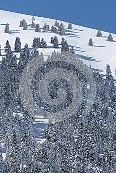 The ski center of Kalavryta, Greece.