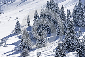 The ski center of Kalavryta, Greece.