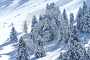 The ski center of Kalavryta, Greece.