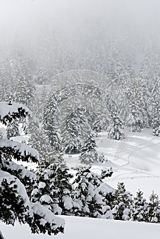 The ski center of Kalavryta, Greece.