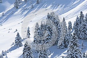 The ski center of Kalavryta, Greece.