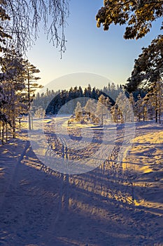 Ski center outside the town of Ludvika in Sweden, where you can go cross-country skiing