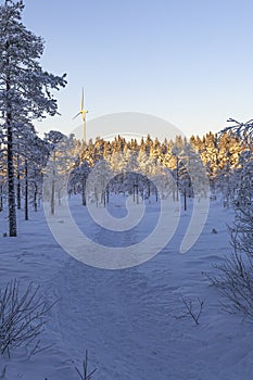 Ski center outside the town of Ludvika in Sweden, where you can go cross-country skiing