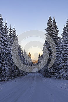 Ski center outside the town of Ludvika in Sweden, where you can go cross-country skiing