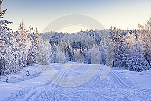 Ski center outside the town of Ludvika in Sweden, where you can go cross-country skiing photo