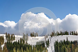 Ski chair lift up a ski slope in a pine forest and dramatic clouds.