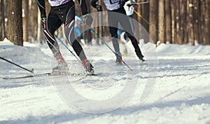 Ski competition - legs of sportsmen running on snowy sunny forest