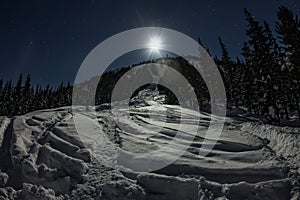 Ski freeride trail at night in moonlight