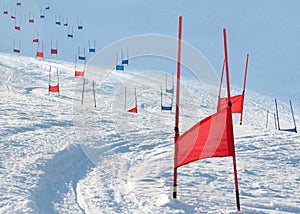 Ski gates with parallel slalom