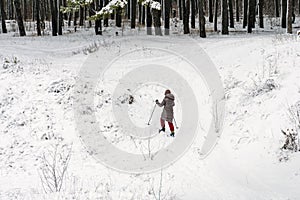Ski girl climbing uphill in winter forest