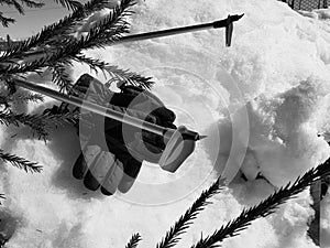 Ski gloves, skis and ski poles in the snow under the tree in winter or spring