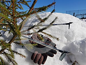 Ski gloves, skis and ski poles in the snow under the tree in winter or spring