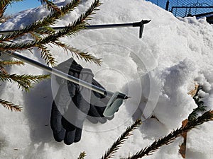 Ski gloves, skis and ski poles in the snow under the tree in winter or spring