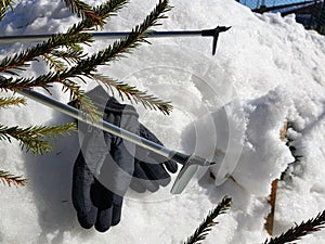 Ski gloves, skis and ski poles in the snow under the tree in winter or spring