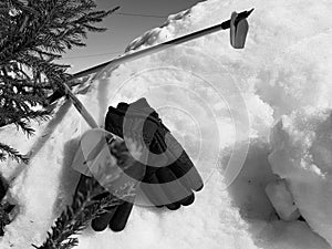 Ski gloves, skis and ski poles in the snow under the tree in winter or spring