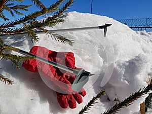 Ski gloves, skis and ski poles in the snow under the tree in winter or spring